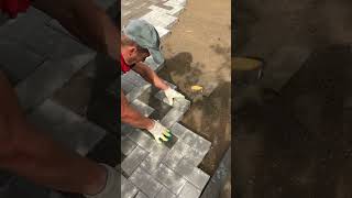 Paving bricks on cementsand mixture brick bricks gardendesign pavers diyideas landscape [upl. by Dorri]