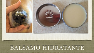 Como Preparar Balsamo Hidratante para Perros Crema Hidratante para Piel Seca [upl. by Llertak813]