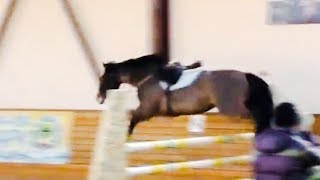 Why Do Horses Jump Riderless [upl. by Ganley]