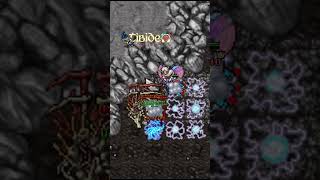 TIBIA  ¿CONOCÍAS ESTE BUG [upl. by Valry326]