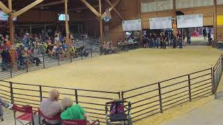 2023 Master Showmanship [upl. by Nylaehs]