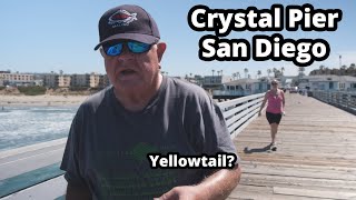 Crystal Pier San Diego CA  Pier Fishing in California [upl. by Arabella]