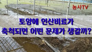 인산비료가 많으면 어떤 문제가 생길까요 [upl. by Selim]