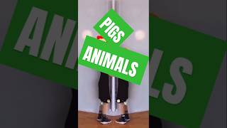 des cochons qui mangent animals youtubeshorts trending foryoupig [upl. by Ylle]