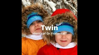 Twin Zygosity Test [upl. by Ahdar]