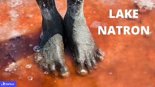 Discover Lake Natron The Lake that Turns Animals to Stones [upl. by Mildred496]