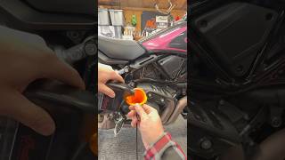 Indian FTR1200 oil change ASMR motorcycleexhaust indianftr1200 indianmotorcycles asmr [upl. by Eidderf648]