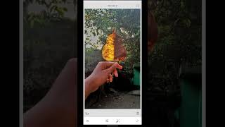 Advanced Snapseed Photo Editing Tutorial shorts youtubeshorts photography edit [upl. by Enimrac]