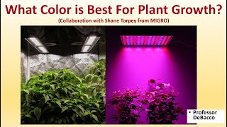 What Color is Best for Plant Growth Collaboration with Shane Torpey from MIGRO [upl. by Enicar]