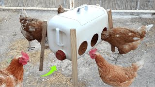 Comedero para Gallinas Fácil de hacer con un bidón 25L [upl. by Engracia732]