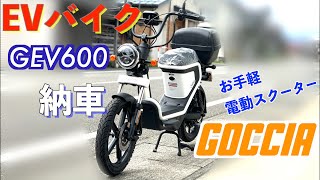 【EVバイク】GEV600納車初乗り「電動バイクGOCCIA」はお手軽電動スクーター [upl. by Yaras]