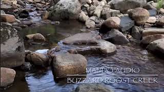 Buzzard Roost Creek  Mando Audio Official Audio [upl. by Dorreg105]