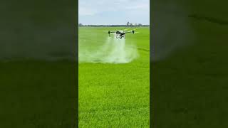 Innovative Crop Care Spraying Fields with Drone Technology [upl. by Camey775]