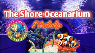 THE SHORE OCEANARIUM  MELAKA [upl. by Arabrab]