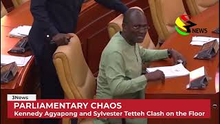 Parliamentary Chaos Kennedy Agyapong and Sylvester Tetteh Clash on the Floor [upl. by Morganne]