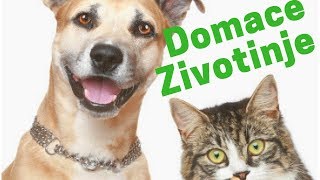 Zvuci domacih zivotinja [upl. by Benia321]