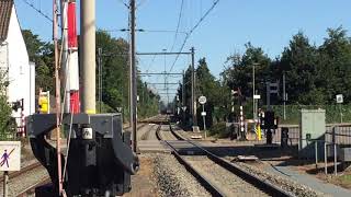 Bijzonder Zwarte Captrain 6601 komt aan in station Eijsden [upl. by Bab362]