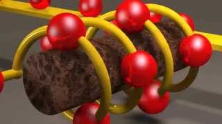 Inductors and Inductance [upl. by Eulalee]