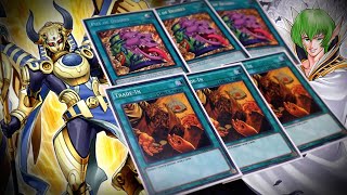 Horus Stun Control Deck Profile PostROTA YuGiOh 2024 [upl. by Mackey]