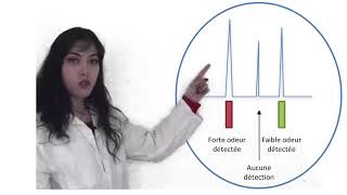 La chromatographie en phase gazeuse couplée à lolfactométrie GCO [upl. by Atilef472]