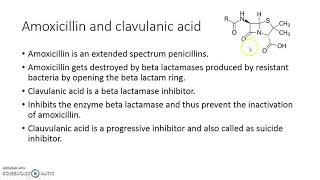 amoxicillin and clavulanic acid interaction [upl. by Esiuolyram]