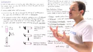 Cell Fractionation [upl. by Thorman]