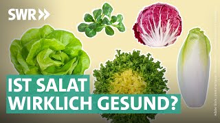 Gartensalate Bittersalate amp Co – das steckt wirklich drin  Marktcheck SWR [upl. by Ardelia257]