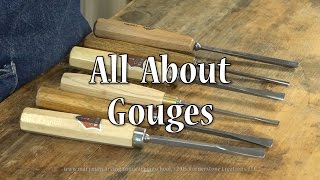 All About Gouges [upl. by Kape709]