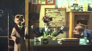 New Compare the Meerkat Advert  Compare The Market Com Funny Advert  Simples [upl. by Ariday467]