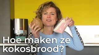 Hoe wordt kokosbrood gemaakt  Het Klokhuis [upl. by Oicul]