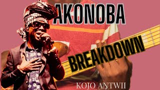 KOJO ANTWI  AKONOBA FULL BASS GUITAR BREAKDOWN [upl. by Schild]