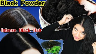 Black Powder To Make Hair Intense Black Naturally Without Dye amp Indigo Eat Daily ।Garima Singh। [upl. by Tia]