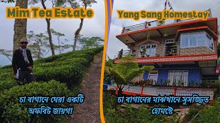 চা বাগান ও জঙ্গলে ঘেরা পাহাড়ি গ্রাম  An offbeat destination in Darjeeling  Mim Tea Garden [upl. by Nylodam]