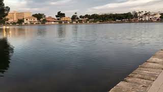 Outside the BelleVue TUI Suneo Lagomonte hotel and island Alcudia ￼Mallorca  Majorca in May 2024 [upl. by Arbe]