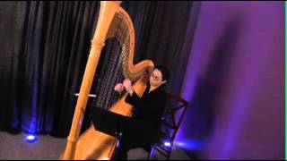 Bridal Chorus from Lohengrin Wagner for Solo Harp [upl. by Nomzzaj628]