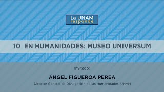 10 en Humanidades Museo UNIVERSUM La UNAM Responde 774 [upl. by Ahseila]