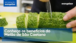 Os 10 Benefícios do Suco de Melão São Caetano Para Saúde I Dicas de Saúde [upl. by Gratt]