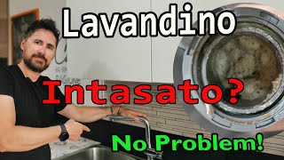 Lavandino Intasato No problem [upl. by Wicks]