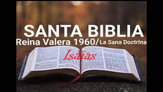 Biblia Hablada Reina Valera 1960 Libro de Isaias [upl. by Sadnalor]