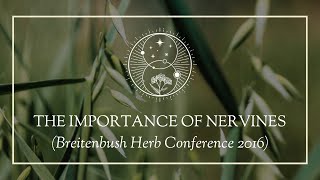 The Importance of Nervines Breitenbush Herb Conference 2016 [upl. by Nylecaj849]