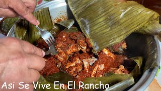 Barbacoa de Puerco Asi Se Vive En El Rancho [upl. by Kolodgie622]