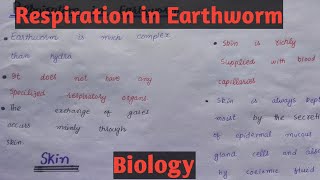 Respiration in EarthwormClass 11Chapter 13easy lecture by zaib [upl. by Lenaj79]