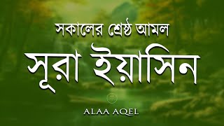 সকালের শ্রেষ্ঠ আমল সুরা ইয়াসিন l Surah Yaseen l amol l سوره يس Record by Alaa Aqel [upl. by Assenab]