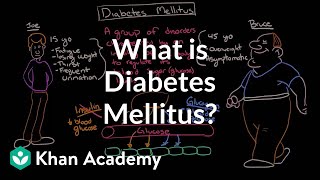 What is diabetes mellitus  Endocrine system diseases  NCLEXRN  Khan Academy [upl. by Thornie]