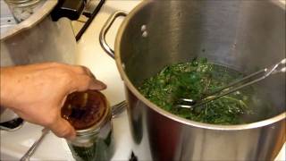 Home Canning in a Pressure Canner Turnips and Greens Part 2 of 2 [upl. by Couchman]