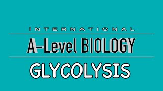 A Level Biology Glycolysis [upl. by Francoise]