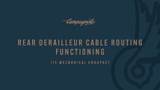 FUNCTIONALITY OF THE CABLE ROUTING OF THE CAMPAGNOLO REAR DERAILLEUR [upl. by Curnin448]