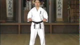 Kyokushin Kokyu Ho  Técnicas de respiración [upl. by Nitsu]