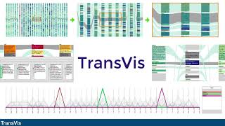 TransVis FastForward Preview for the IEEE VIS Conference 2530 Oct 2020 [upl. by Abihsat]