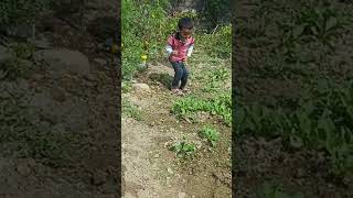 Kids videokids gardening flowerssoil loverhome sweat homekids songdehradun gardening [upl. by Endaira617]